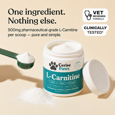 CerisePaws™ L-Carnitine