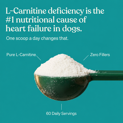 CerisePaws™ L-Carnitine