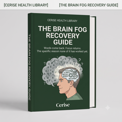 Brain Fog Recovery Guide