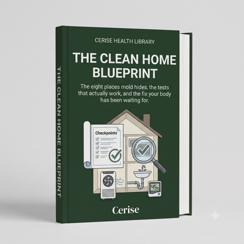 The Clean Home Blueprint